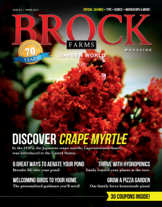 Brock Farms Magazine 2014